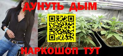гидропоника Бийск