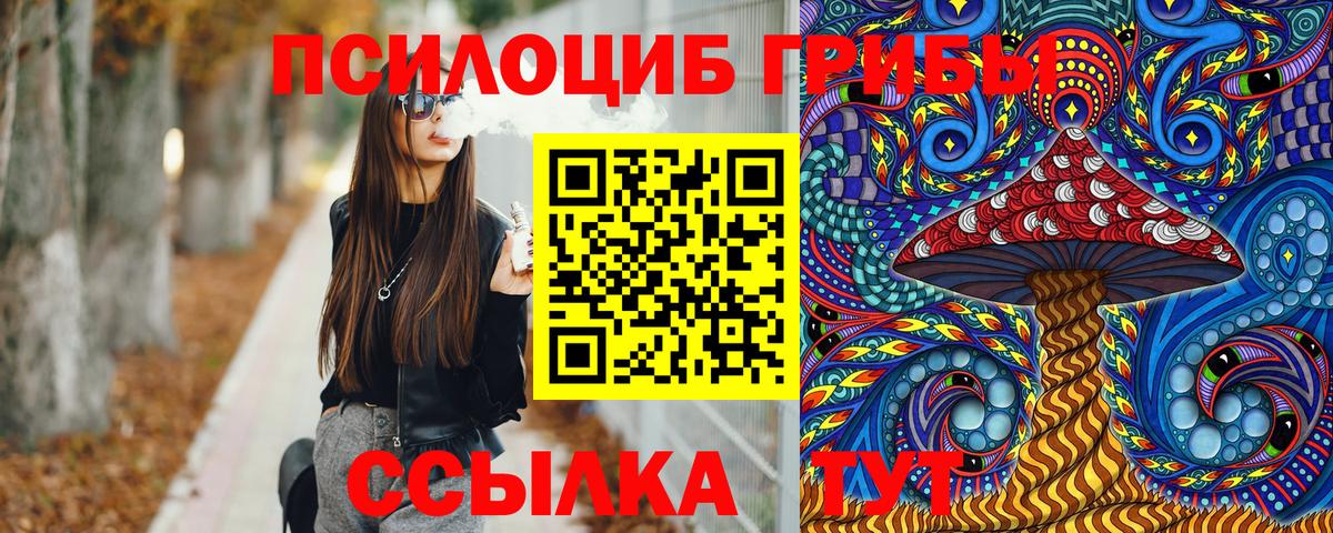 Кимовск  Псилоцибиновые грибы Magic Shrooms  закладка  Вход с VPN 