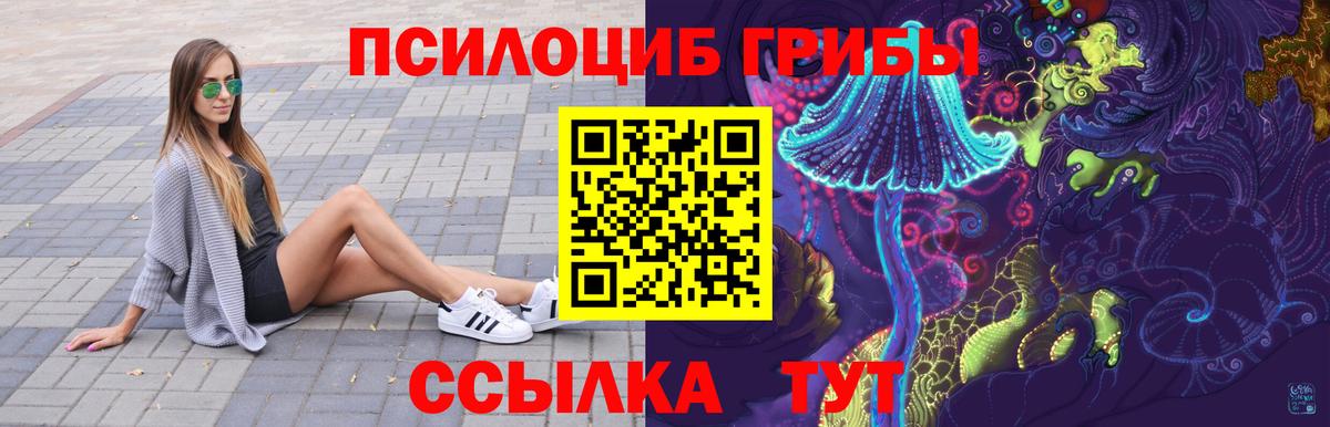 Галлюциногенные грибы Psilocybine cubensis Кимовск
